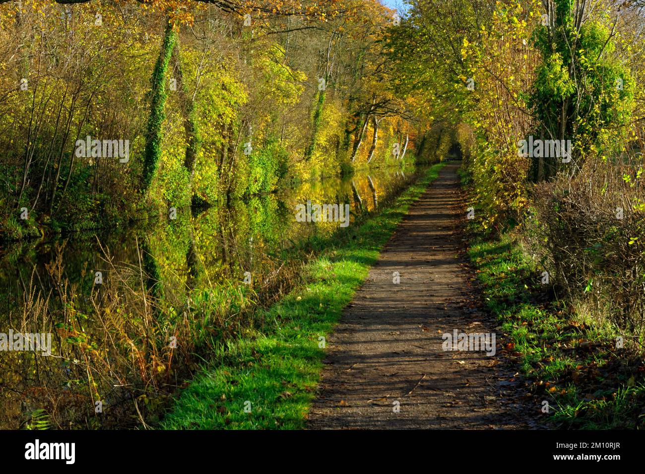 Autumn colours Brecon and Monmouthshire Canal, Brecon, Powys, Wales. Stock Photo