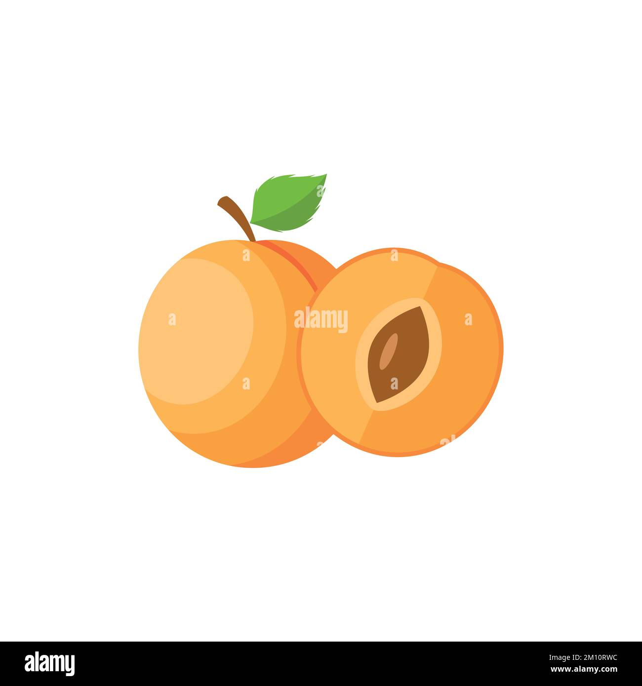 Apricot Flat design clip art vector illustration isolated on a white background Stock Vector