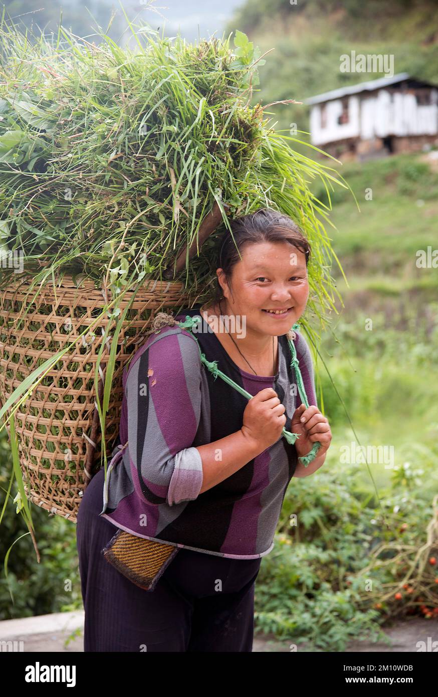 A Bhutanese villager walking near Chandhana Lhakhang temple on the Trans Bhutan Trail Stock Photo