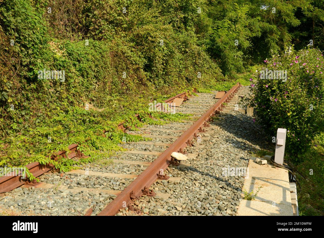 View at abandoned train tracks on Italy Stock Photo