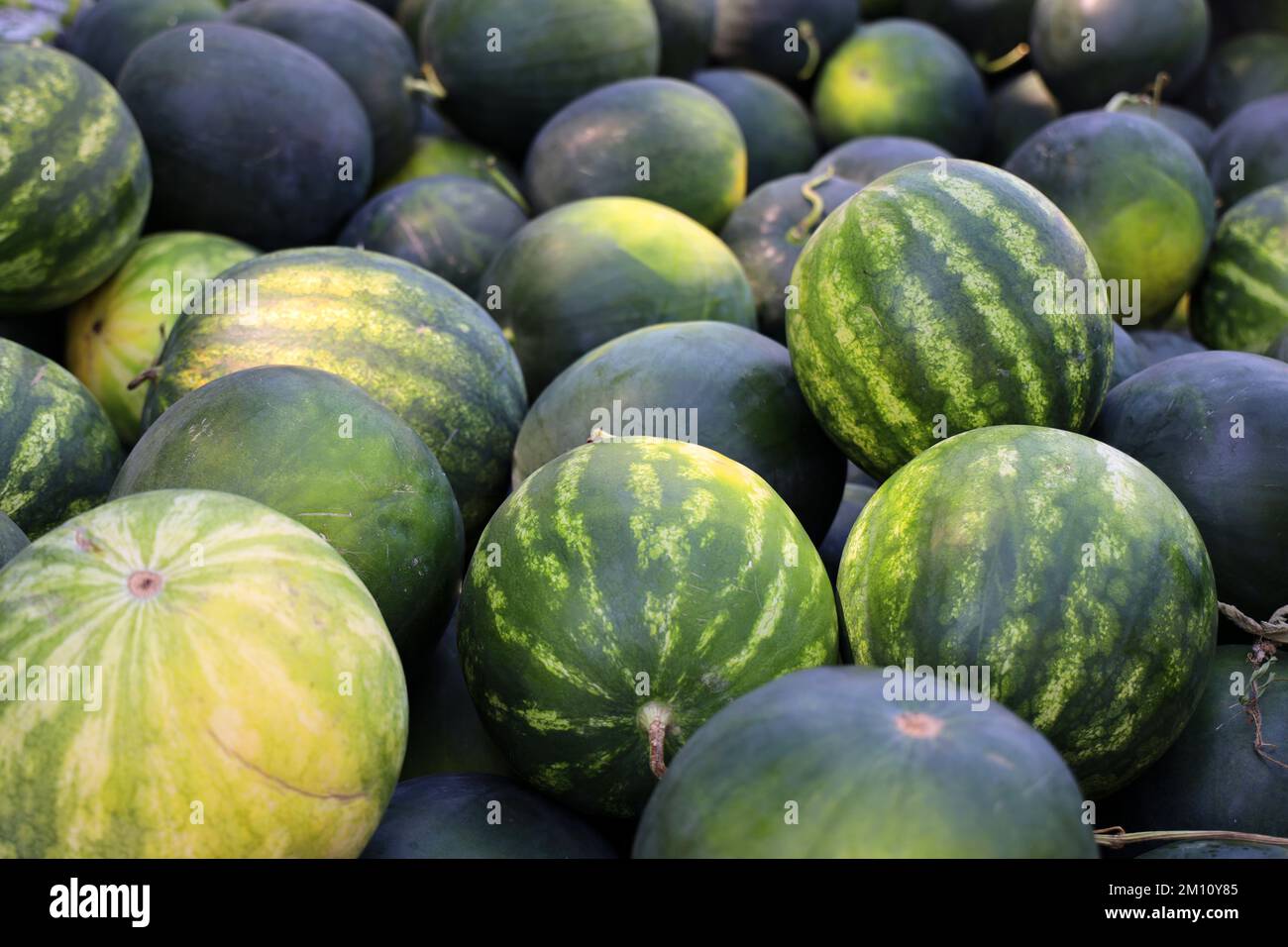 Watermelon on sale near me