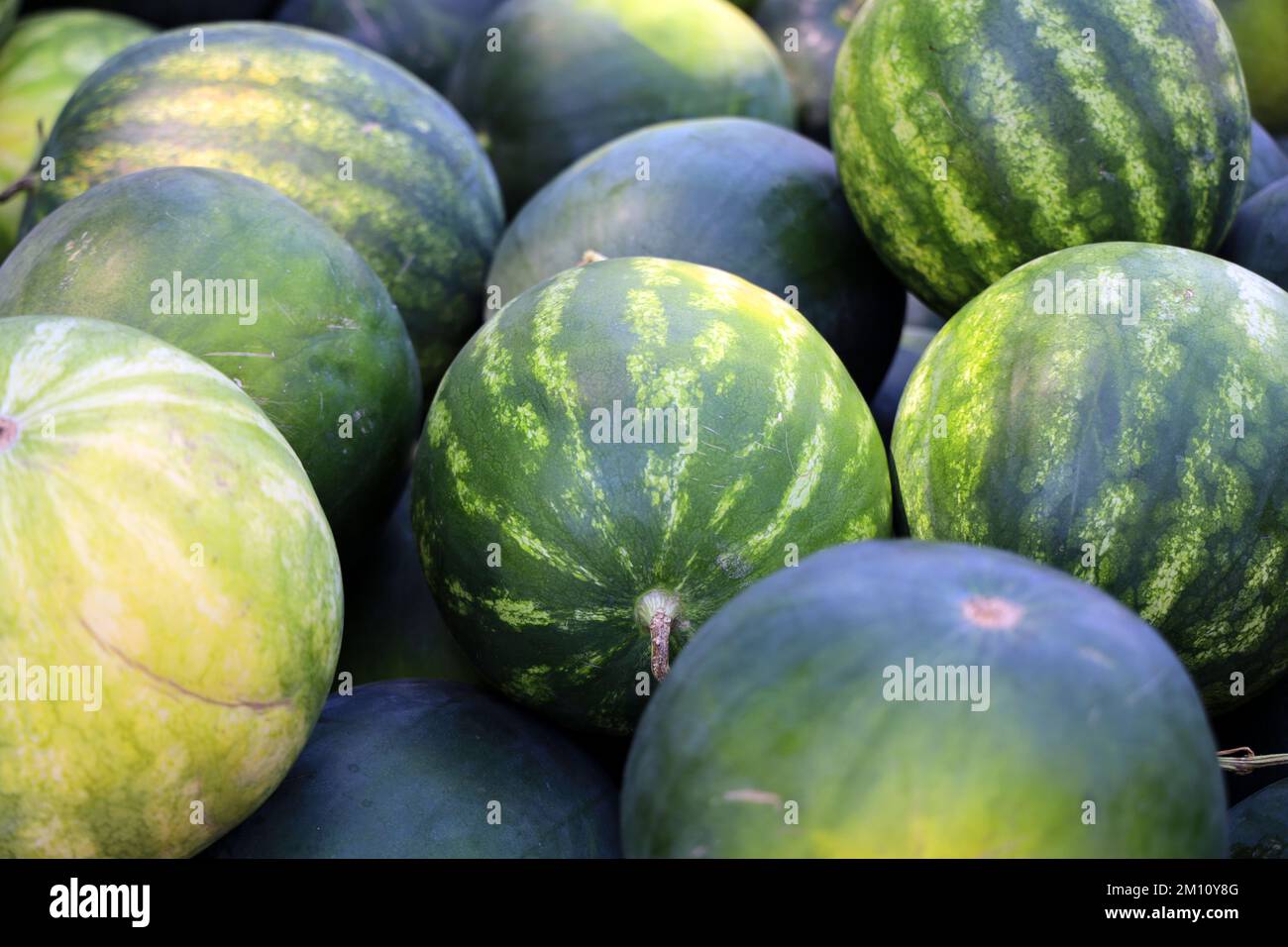 Large pile ripe green watermelons hi-res stock photography and images ...