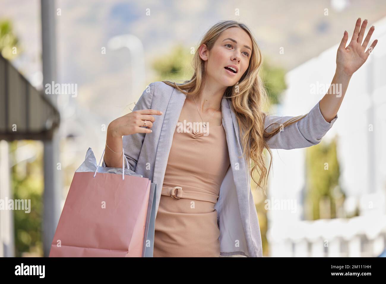 Louis Vuitton Shopping Shopper Carrier Paper Bag Small Brown