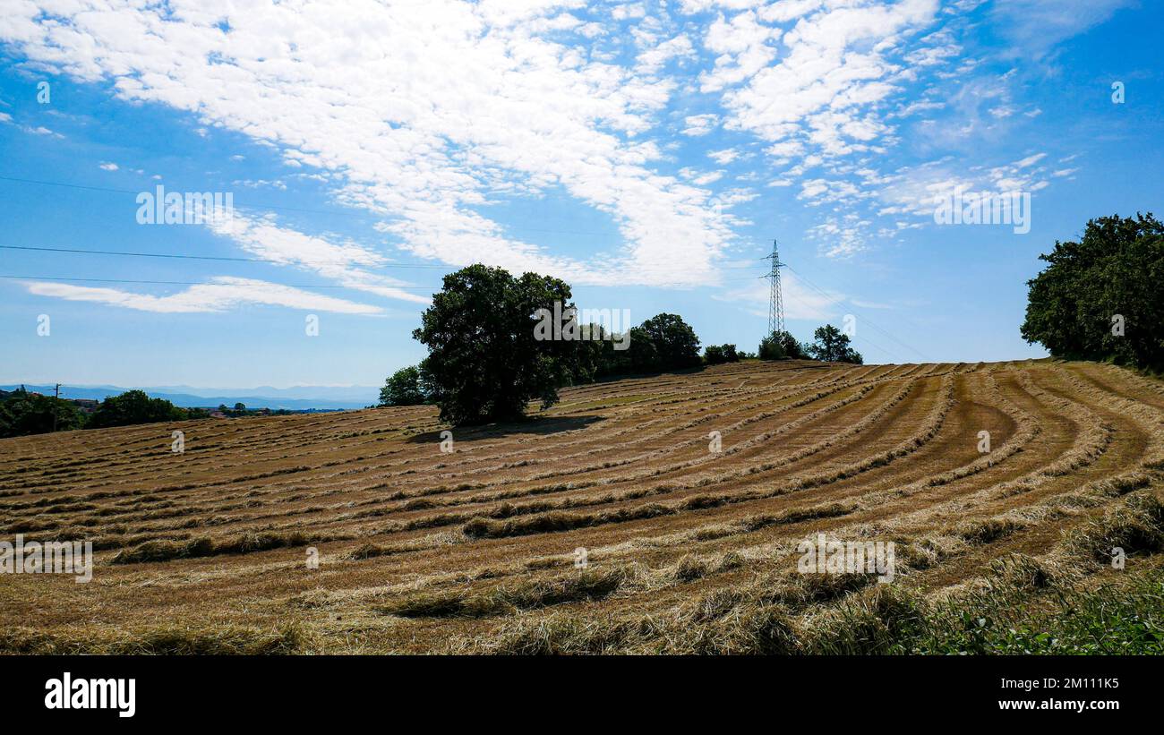 Italian countryside wedding hi-res stock photography and images - Alamy