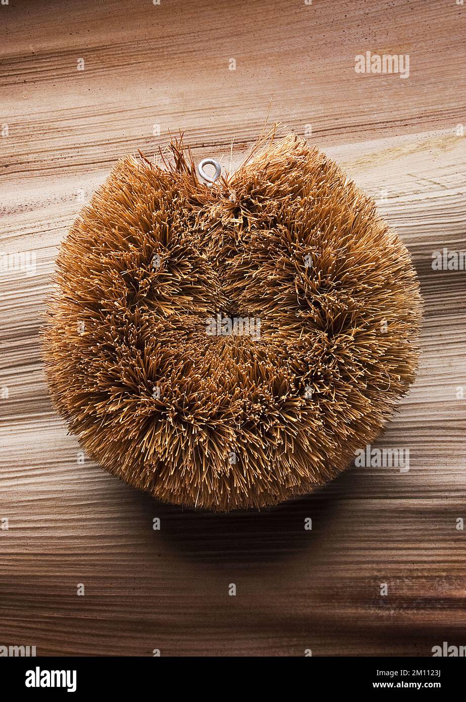 https://c8.alamy.com/comp/2M1123J/natural-coconut-fiber-cleaning-brush-brazilian-coco-fibre-iobtained-from-the-fruit-of-the-coconut-palm-on-the-background-of-an-an-imperial-palm-leaf-2M1123J.jpg
