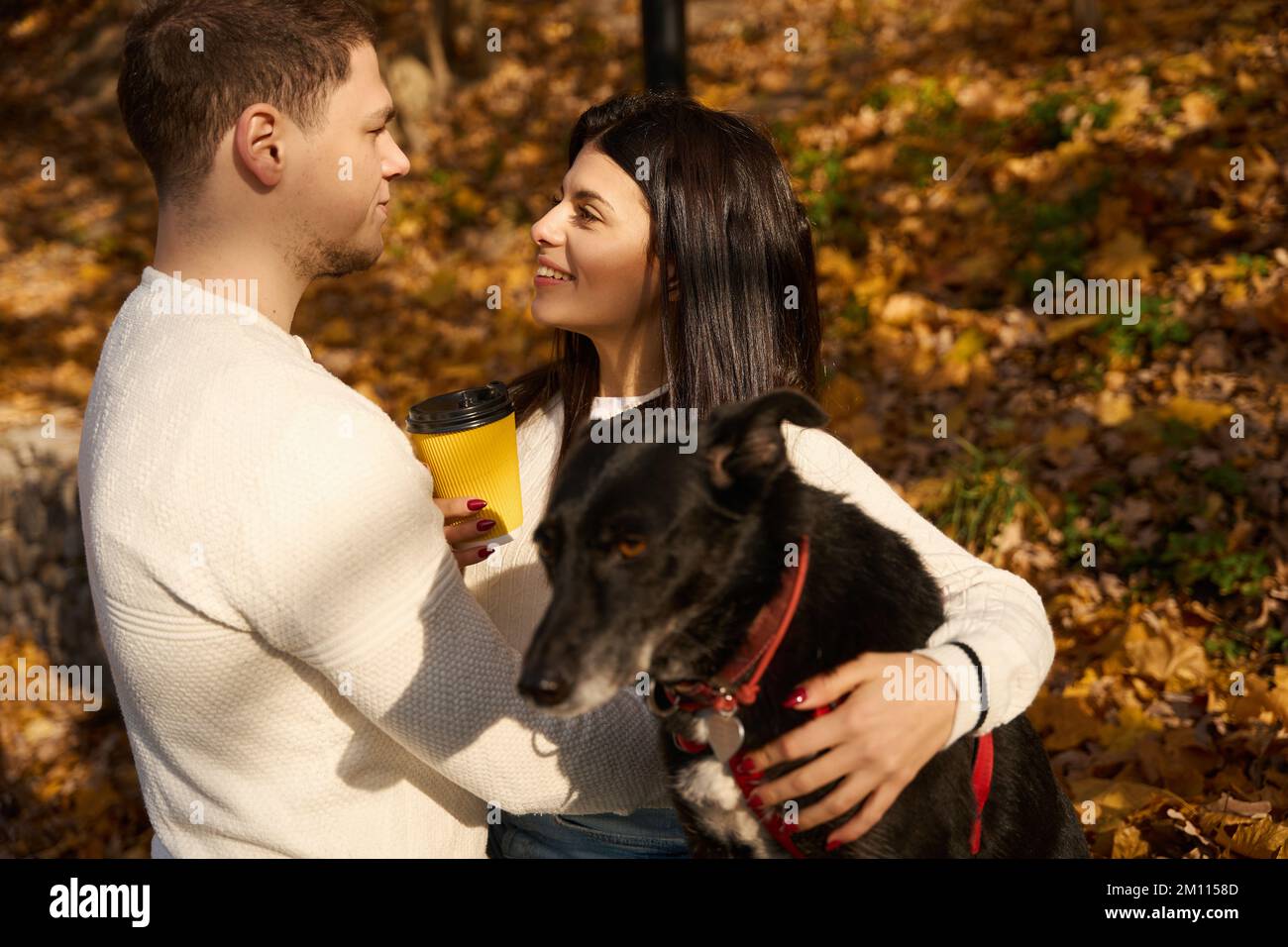 Happy woman chatting with her boyfriend in autumn park Stock Photo