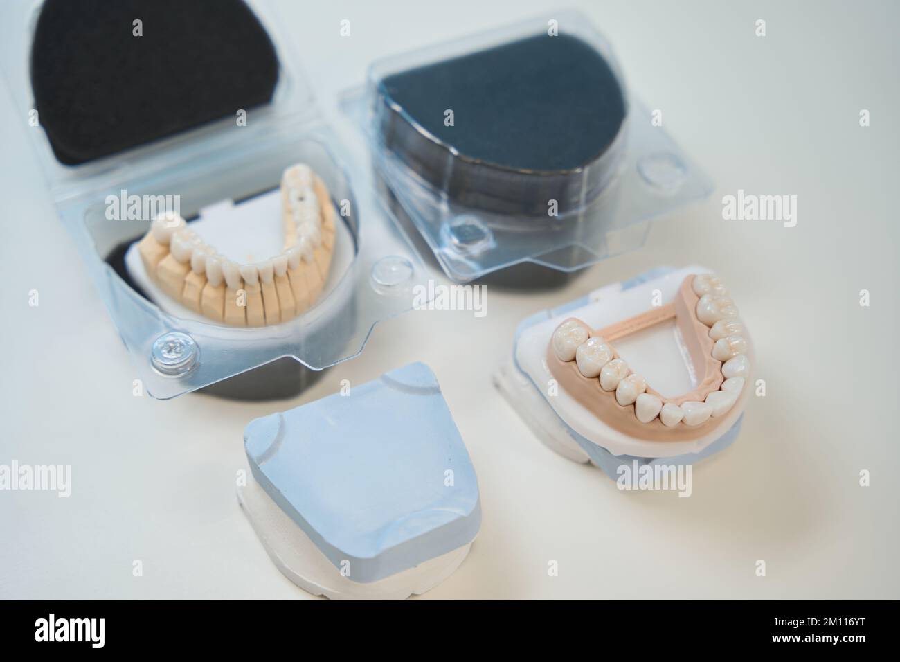 Artificial mandibular and maxillary dentition used for patient education Stock Photo