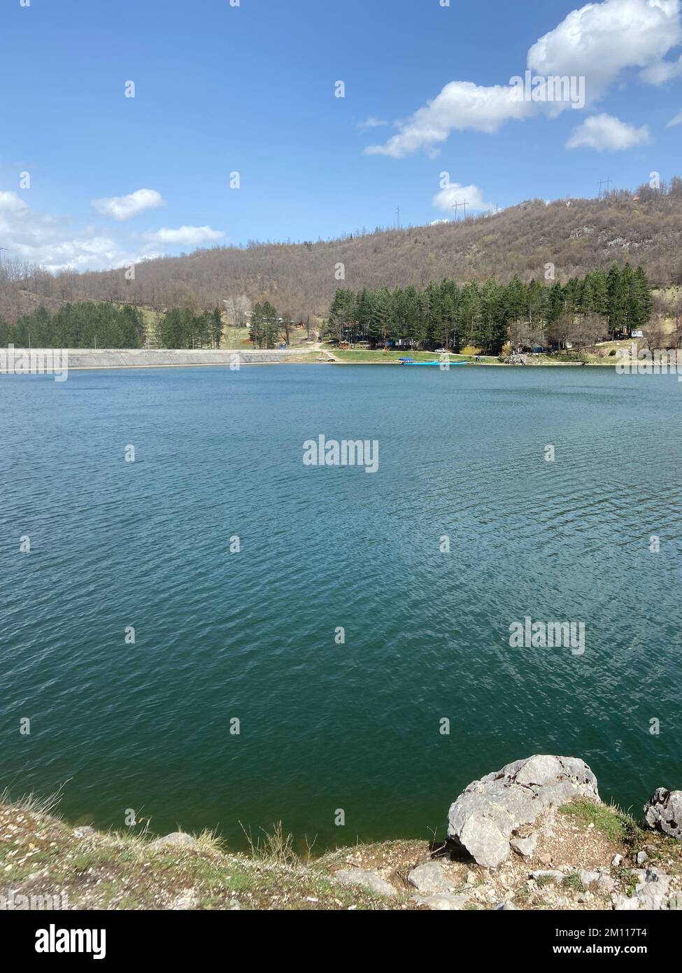 A vertical shot of a lake surrounded by green trees and hillside plants ...
