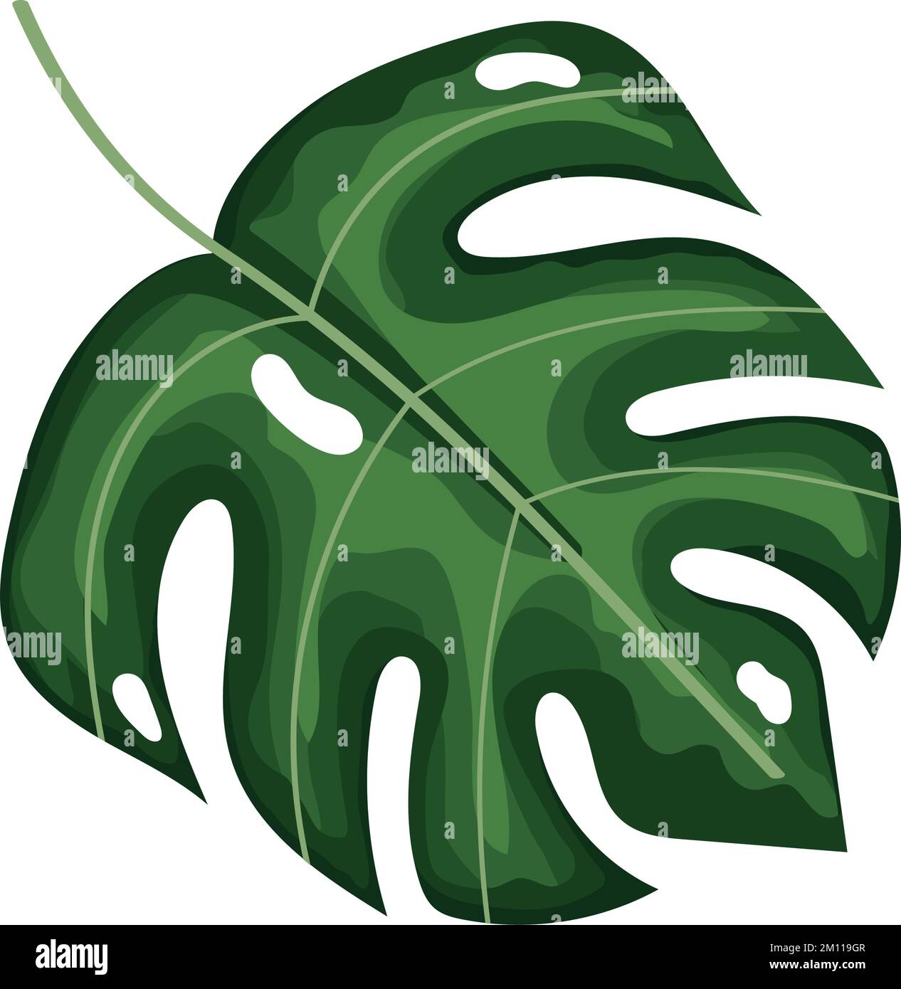 tropical leaf plant foliage Stock Vector Image & Art - Alamy