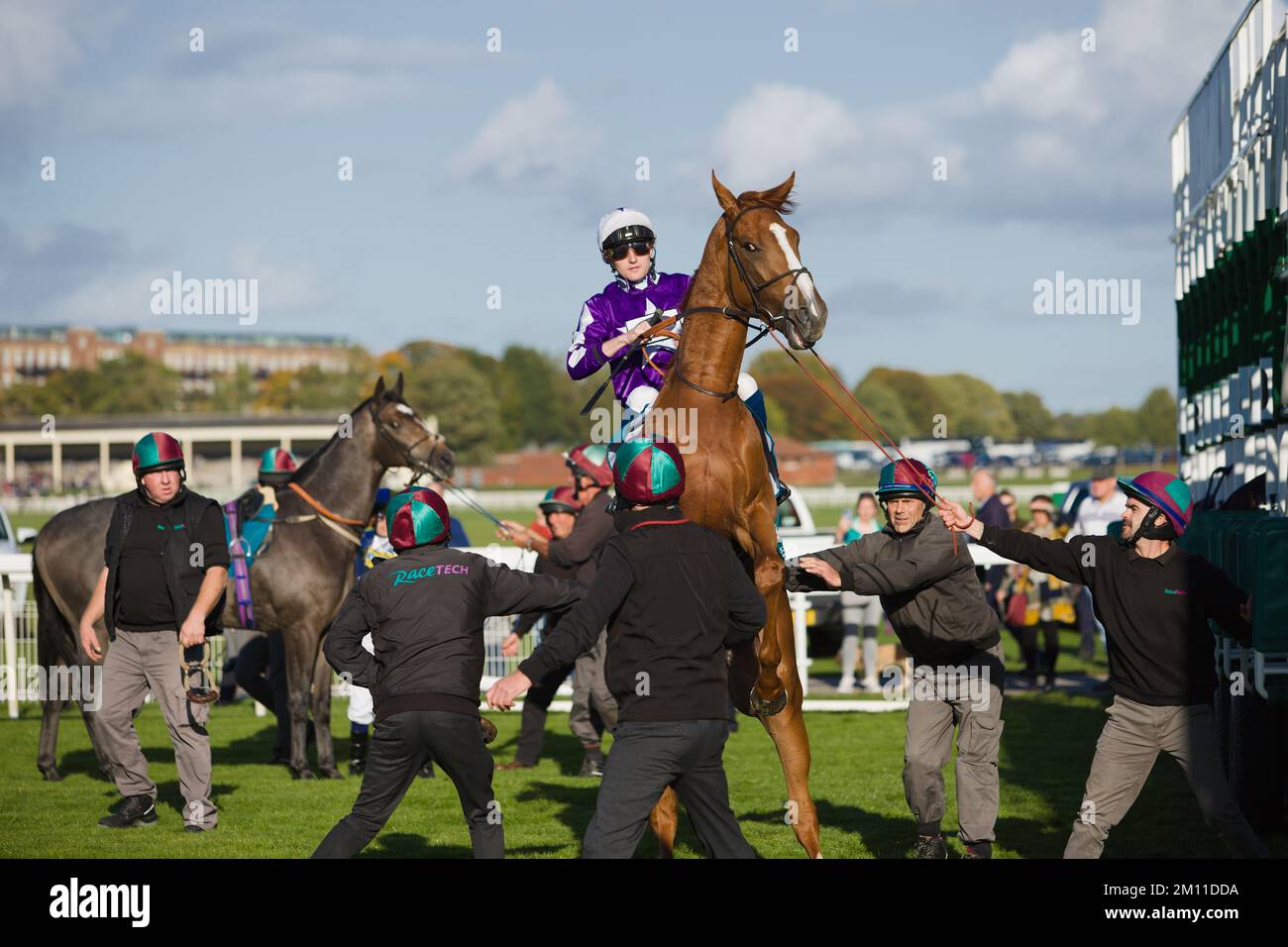 Racehorse Ithica's Arrow rears up as jockey Joshua Bryn and the