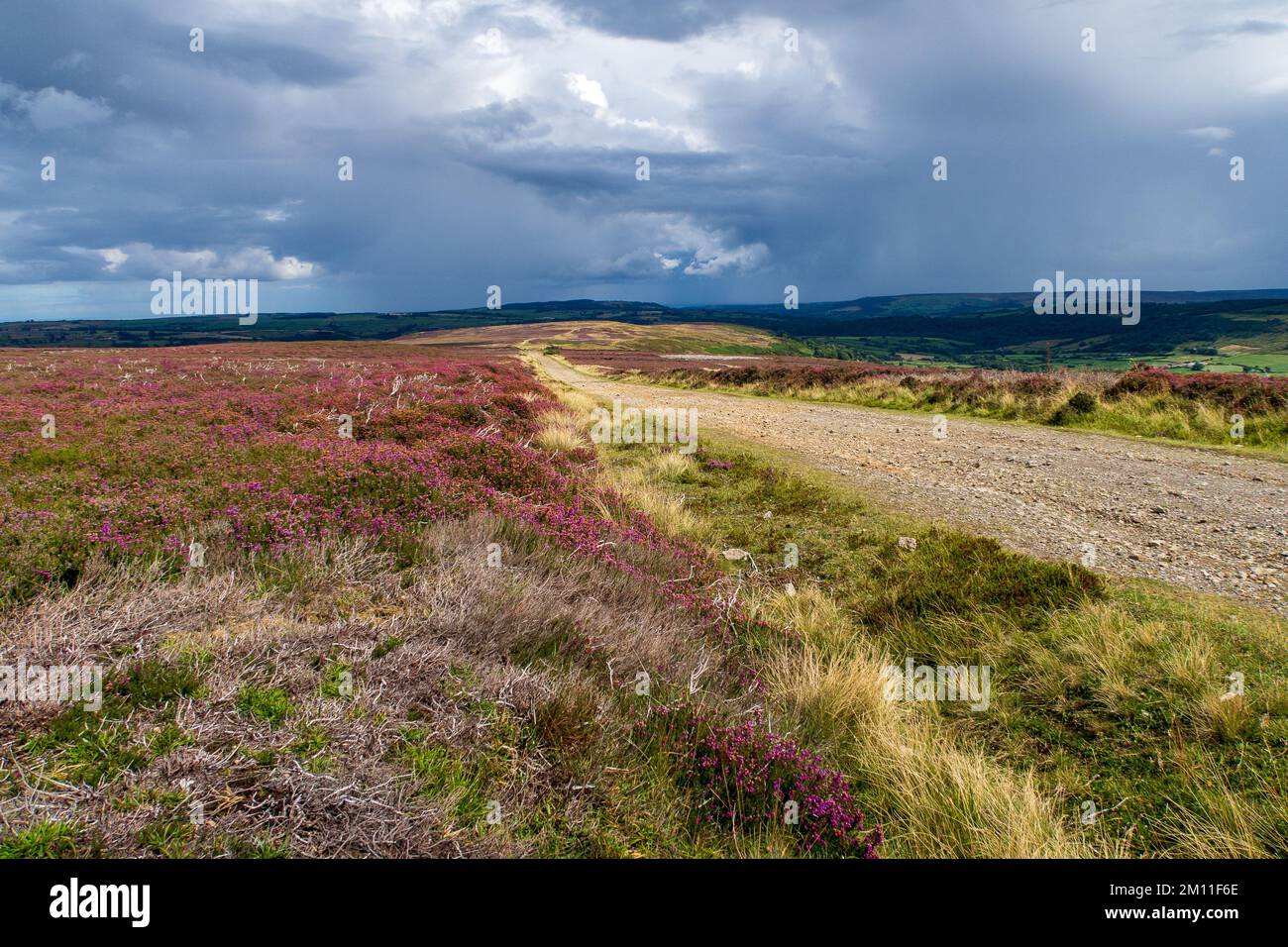 Blakely Ridge, Coast to Coast Walk Stock Photo - Alamy