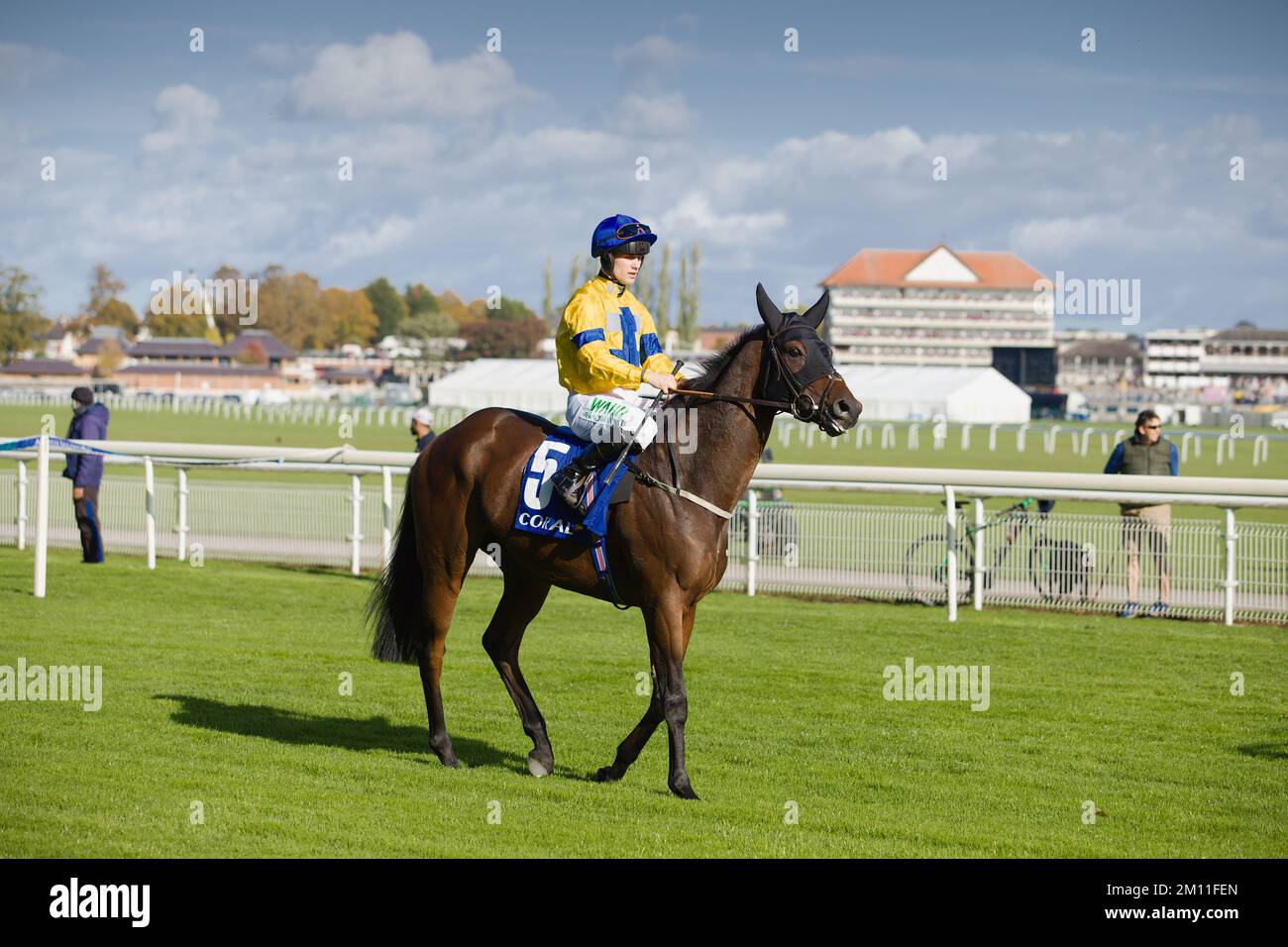 Jockey Jason Hart on Stay Well at the start of a race at York Racecourse. Stock Photo