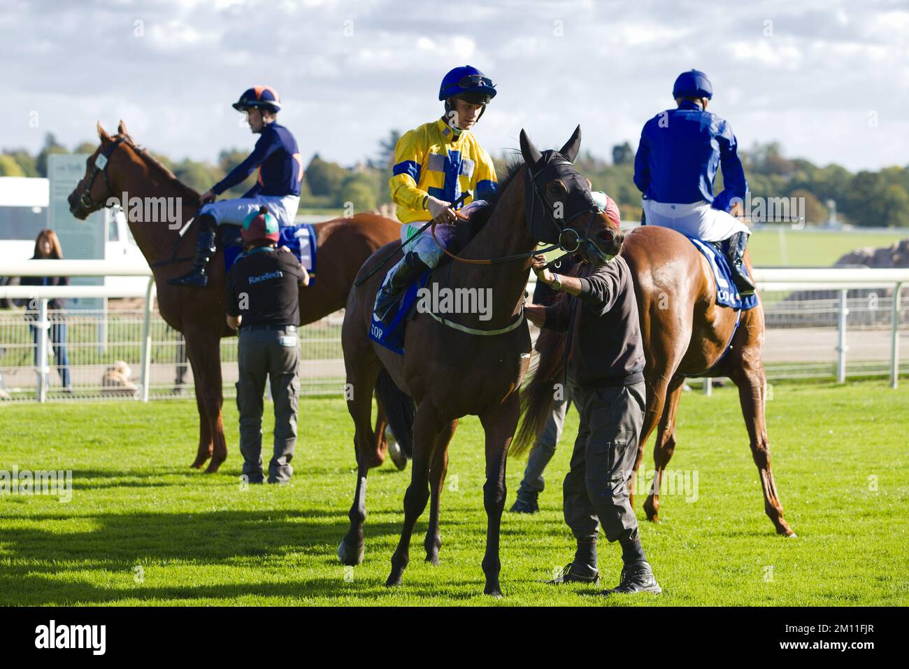 Race horse with steward hires stock photography and images Alamy