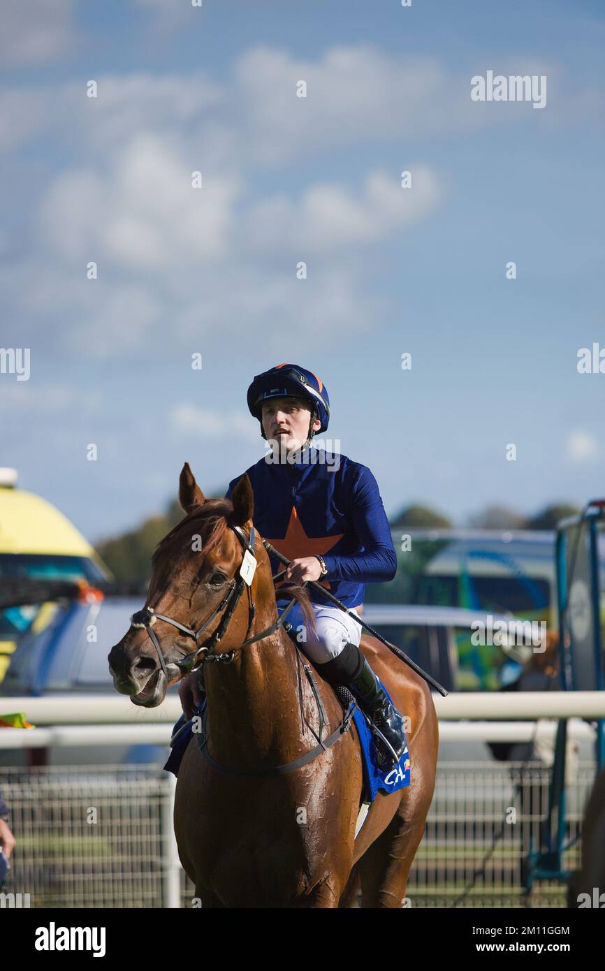 Jockey Harry Burns before the start of a race at York Races Stock Photo ...