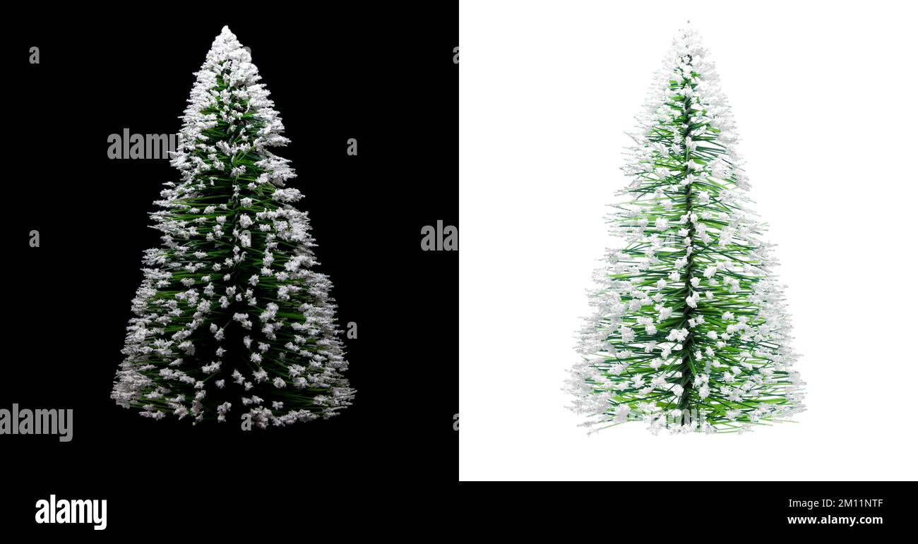 Christmas tree isolated against white and black background Stock Photo ...