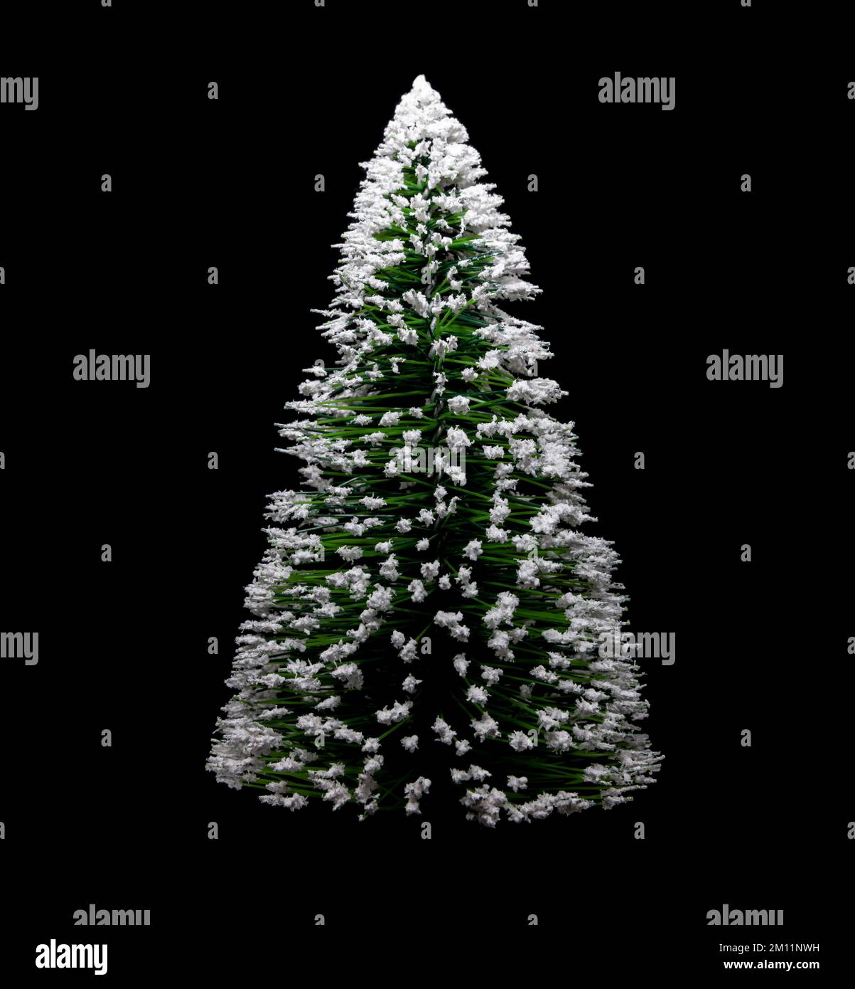 Christmas tree isolated against black background