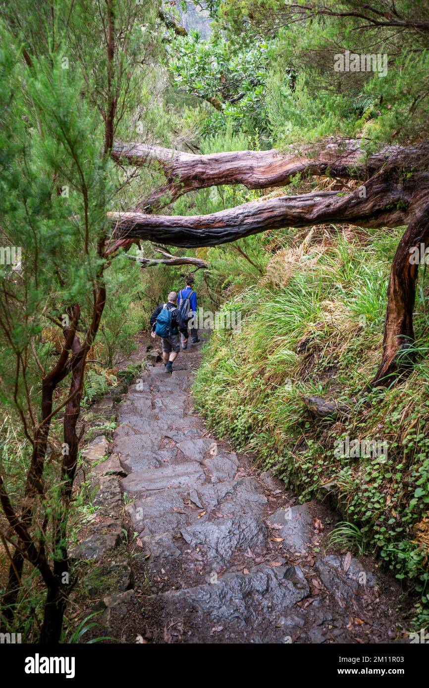 Hiking trail at Rabaçal on Madeira Stock Photo