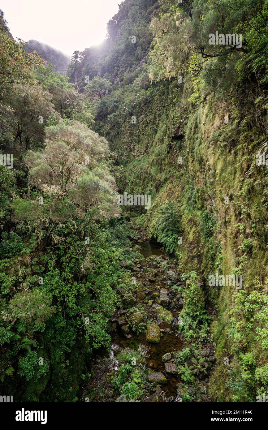 Pristine landscape near Rabaçal in Madeira Stock Photo