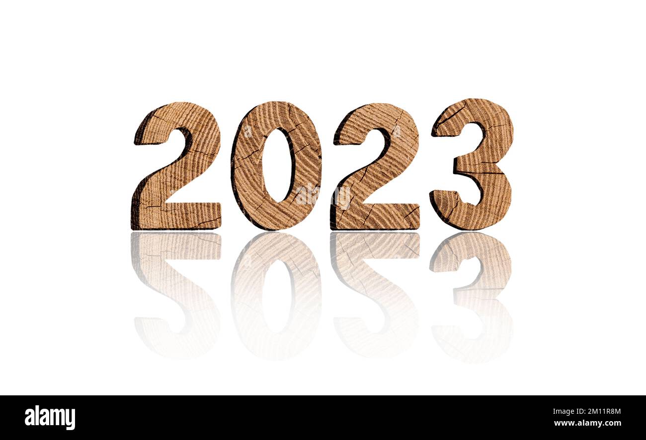Year 2023 made of wood Stock Photo
