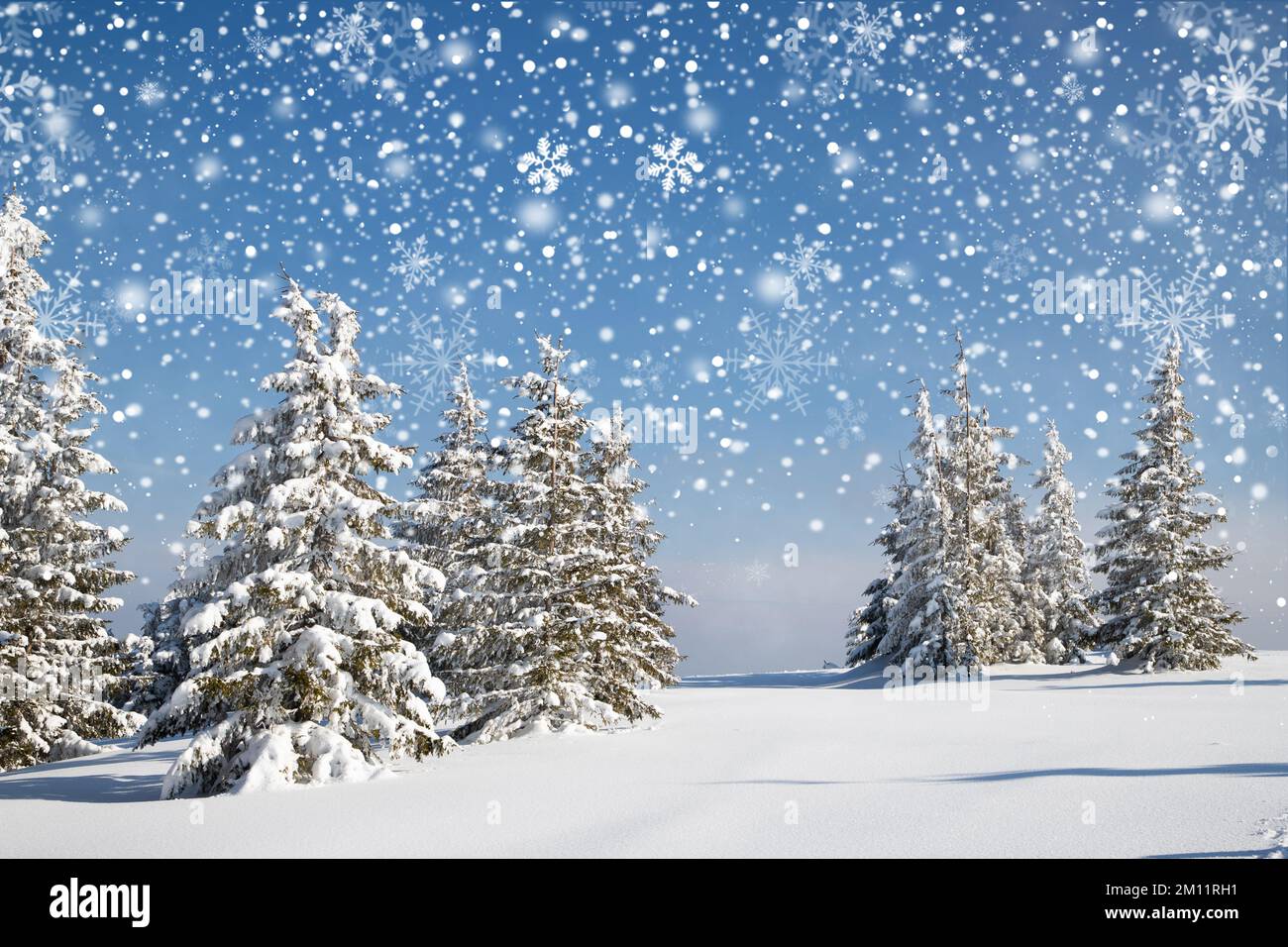 beautiful winter landscape with snowy fir trees Stock Photo - Alamy