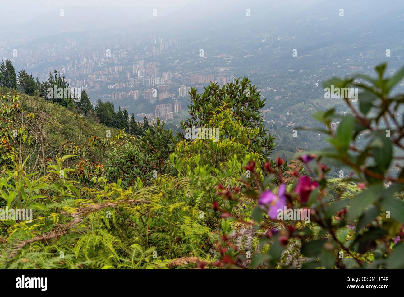 South America, Colombia, Departamento de Antioquia, Medellín, Envigado, View of the outskirts of Medellín from a panoramic hill near Envigado Stock Photo