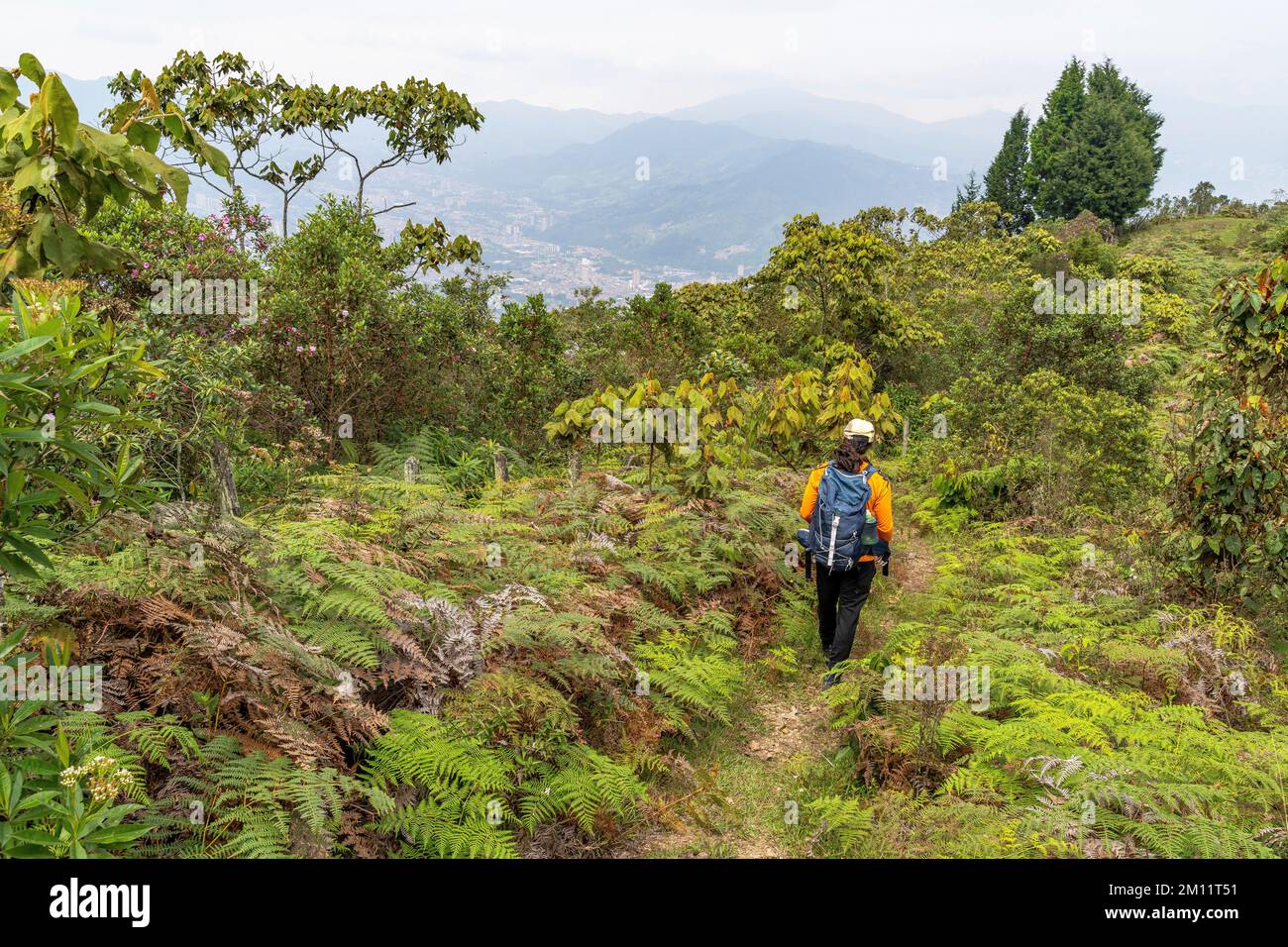 South America, Colombia, Departamento de Antioquia, Medellín, Envigado, hiker on a ridge near Envigado near Medellín Stock Photo