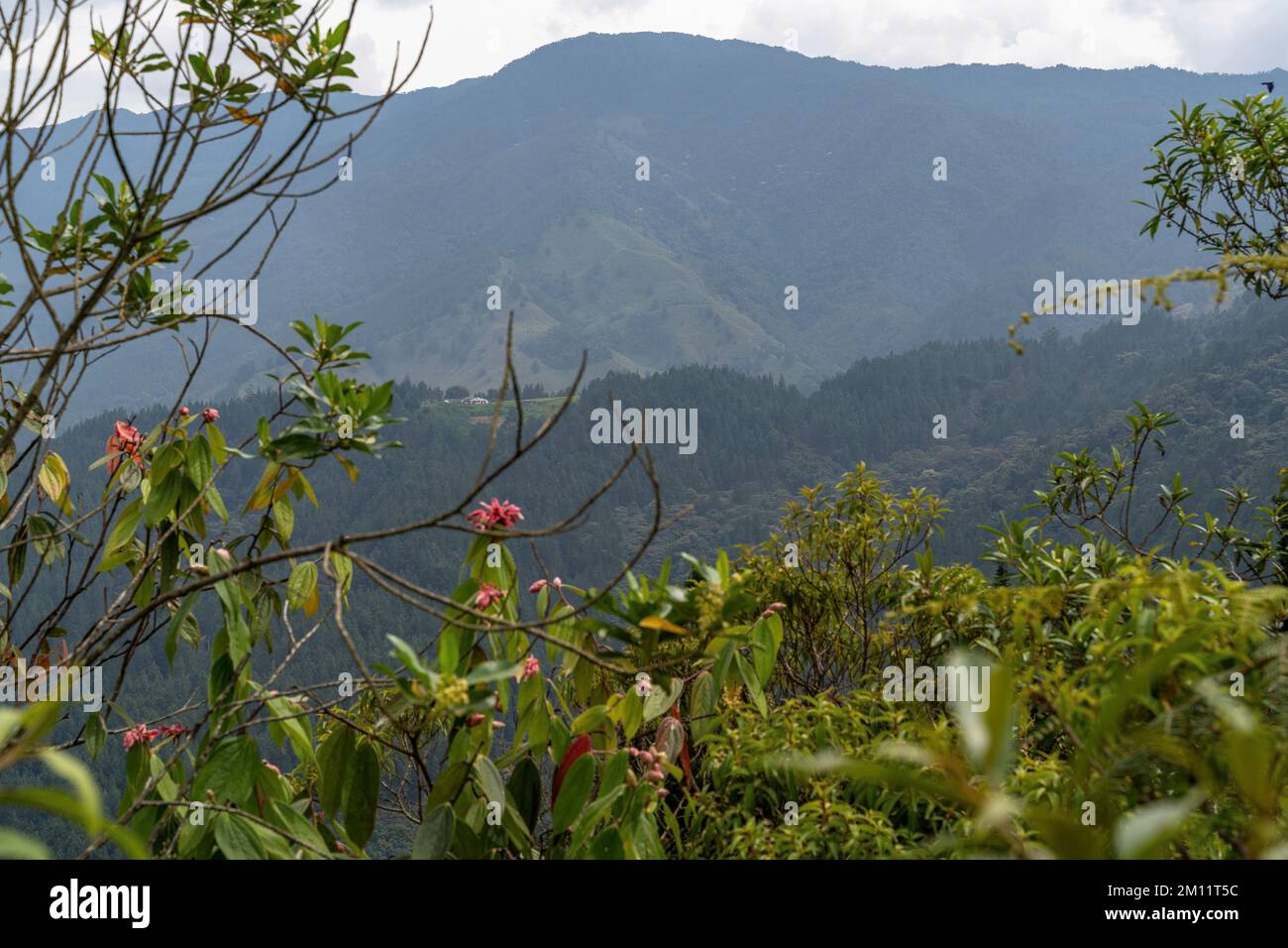 South America, Colombia, Departamento de Antioquia, Medellín, Envigado, View of the mountain landscape at La Catedral near Medellín Stock Photo