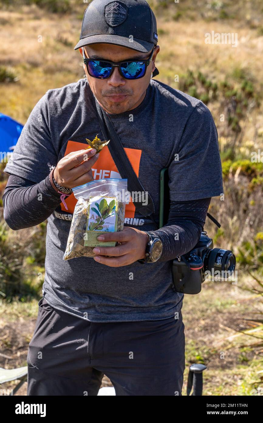 South America, Colombia, Departamento Antioquia, Colombian Andes, Urrao