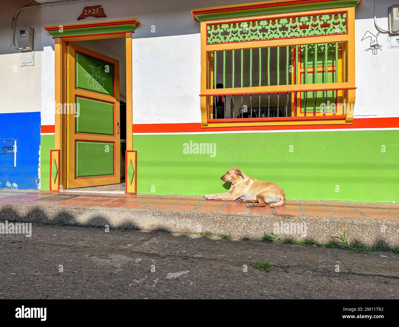 South America, Colombia, Departamento de Antioquia, Colombian Andes