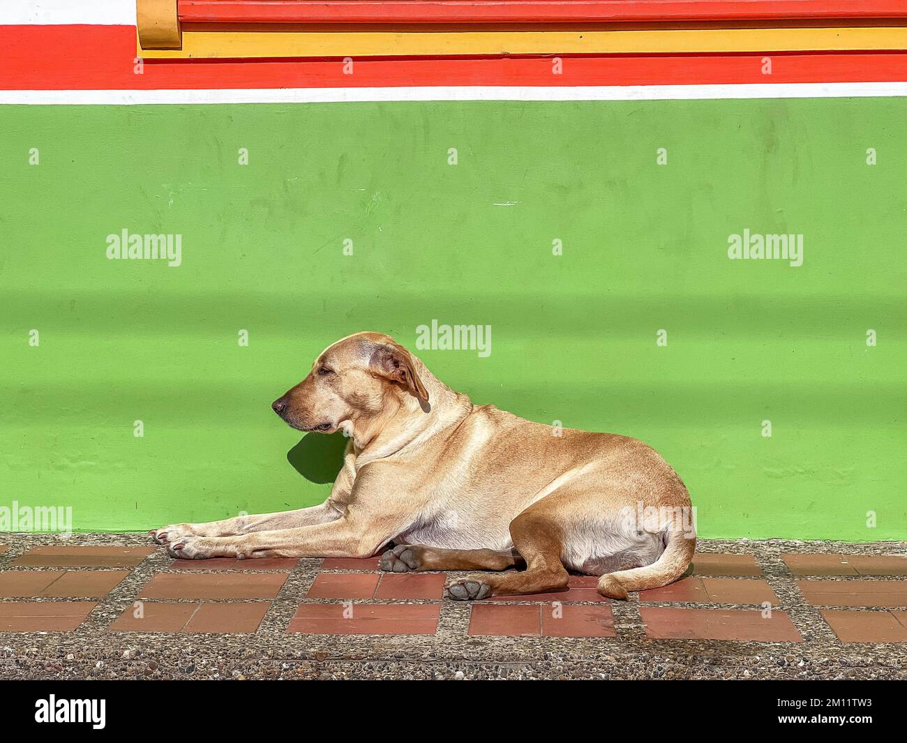 South America, Colombia, Departamento de Antioquia, Colombian Andes
