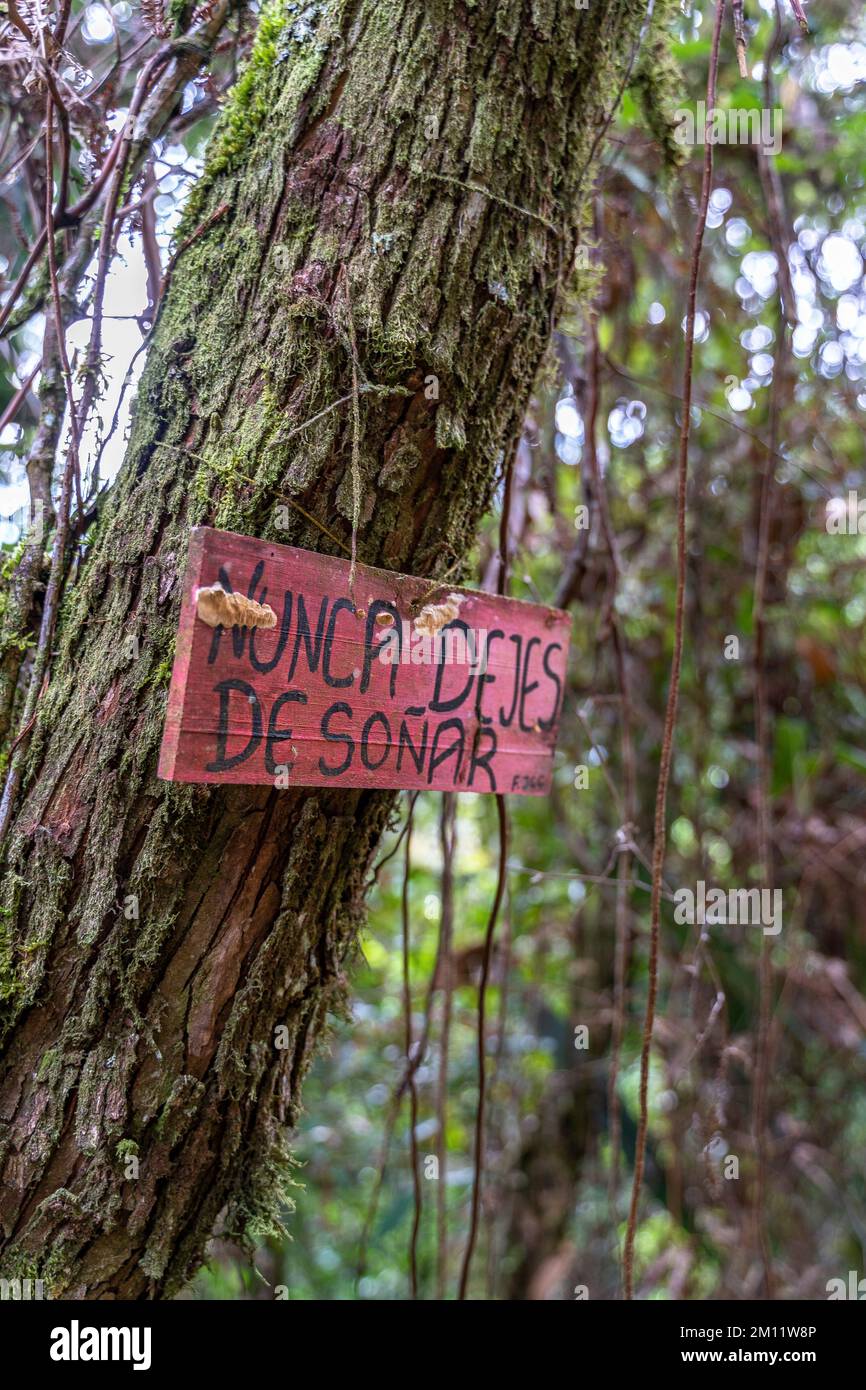 South America, Colombia, Departamento de Antioquia, Colombian Andes, Jericó, wooden sign with positive content on a tree in the natural park Las Nubes Stock Photo