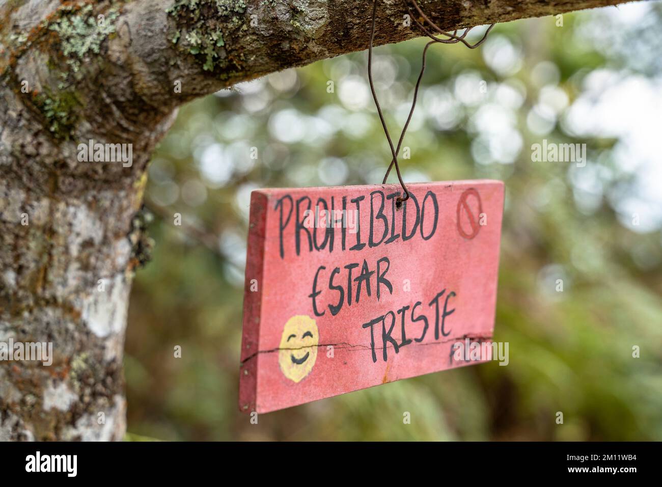 South America, Colombia, Departamento de Antioquia, Colombian Andes, Jericó, wooden sign with positive message in the nature park Las Nubes Stock Photo