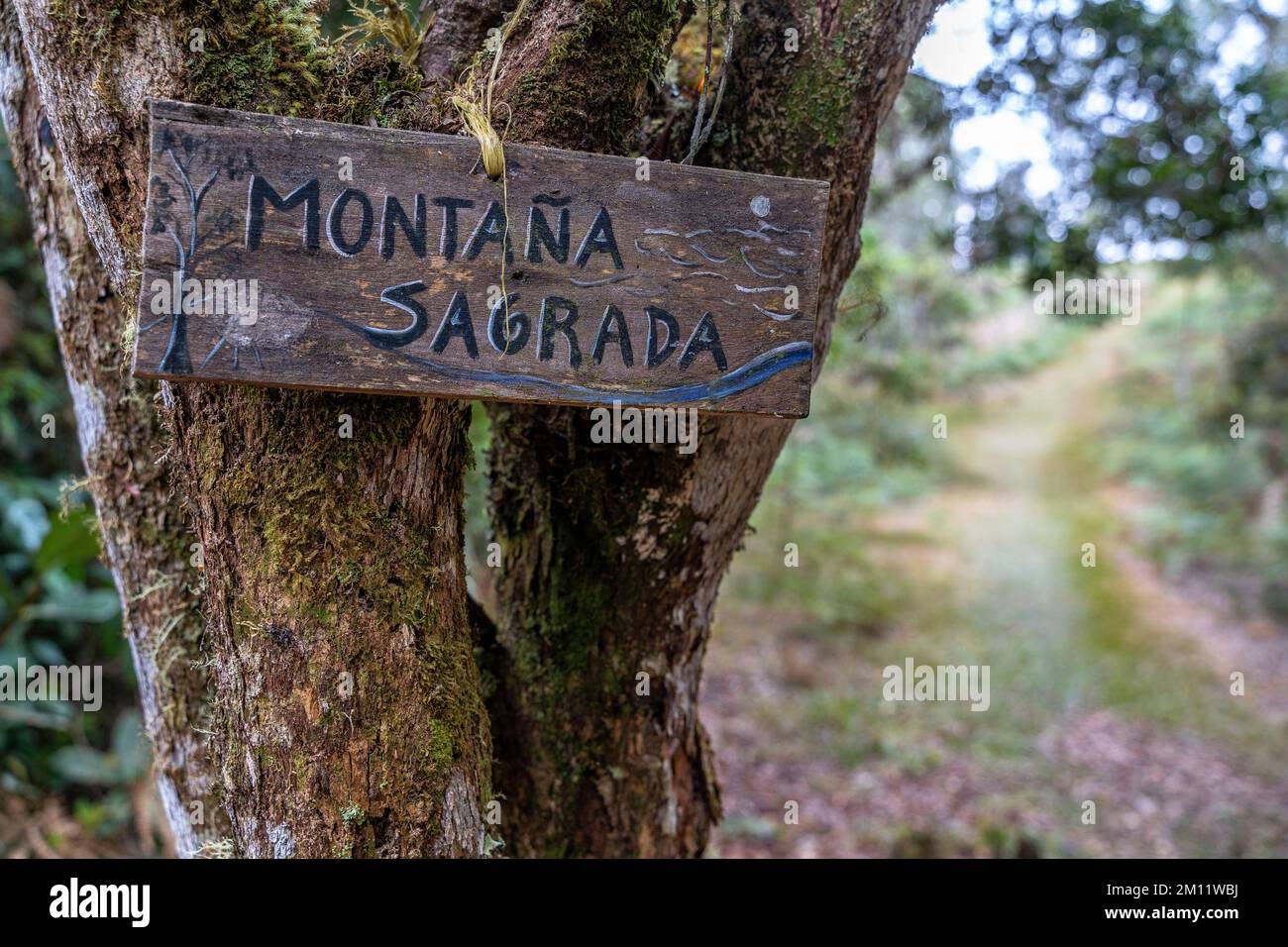 South America, Colombia, Departamento de Antioquia, Colombian Andes, Jericó, Wooden Signs in Las Nubes Nature Park Stock Photo