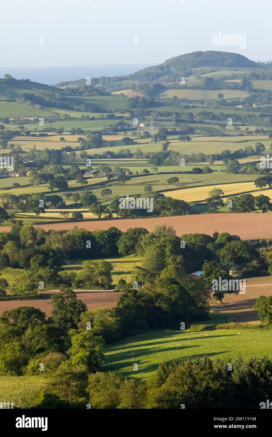 England, Dorset, View of the Dorset Countryside from Pilsdon Pen Stock ...