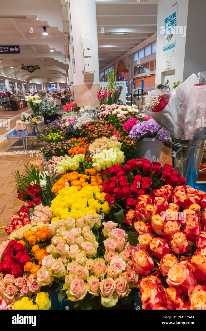 France, French Riviera, Cote d'Azur, Cannes, Forville Market, Flowers