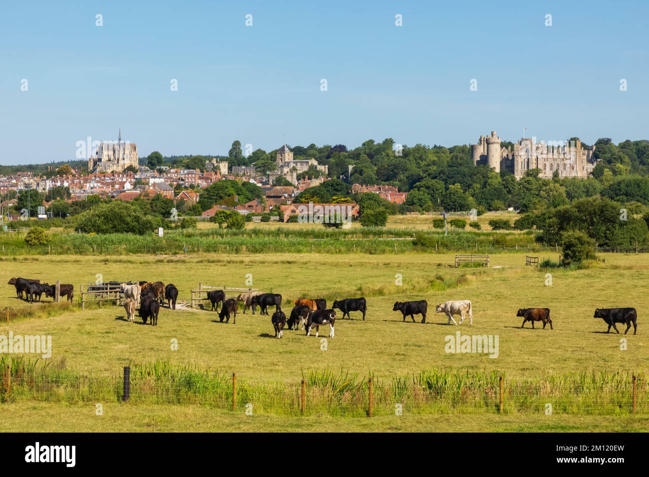England, West Sussex, Arundel, Arundel Castle and Town Skyline with ...