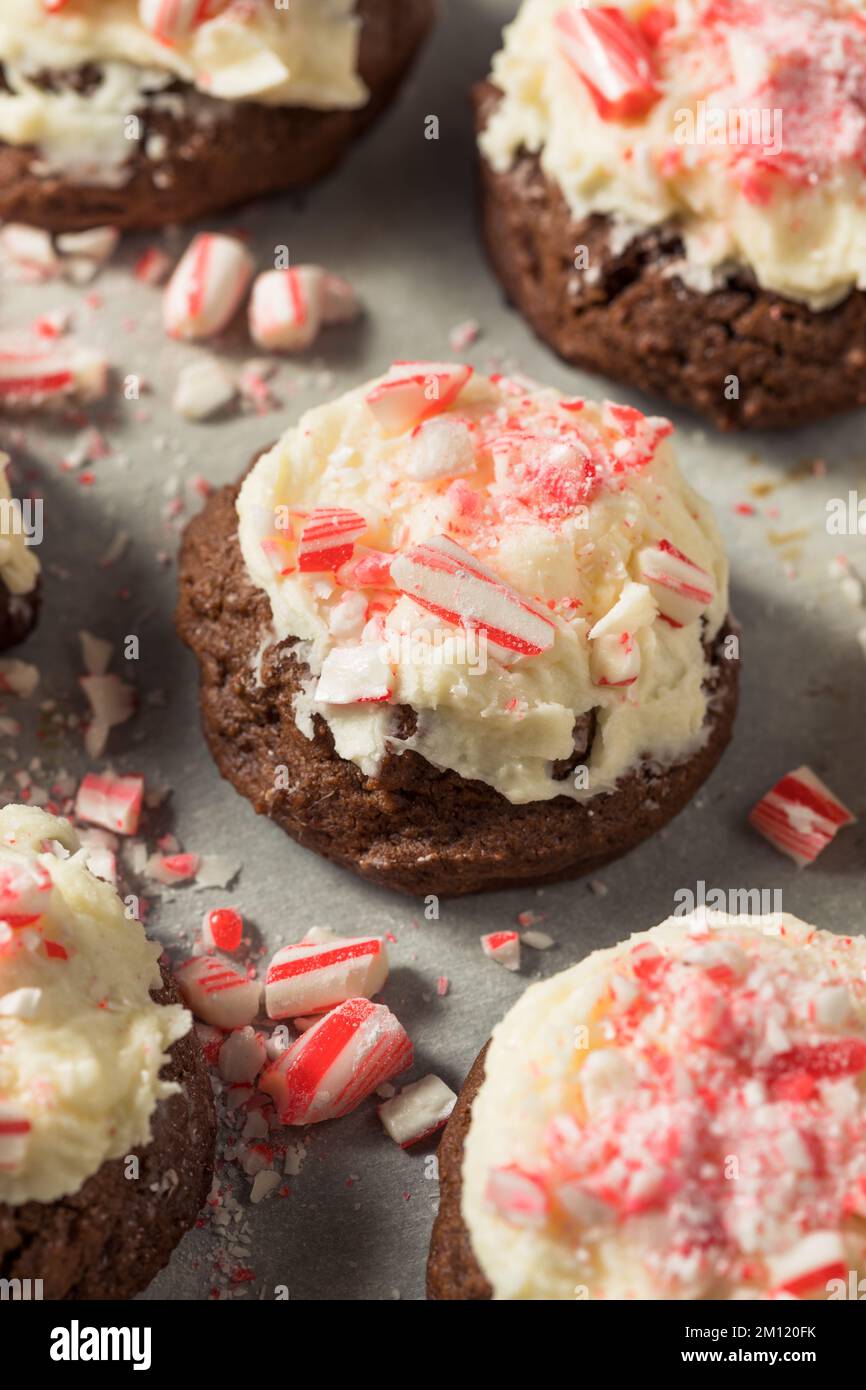 Homemade Peppermint Candycane Chocolate Cookies for Christmas Stock Photo