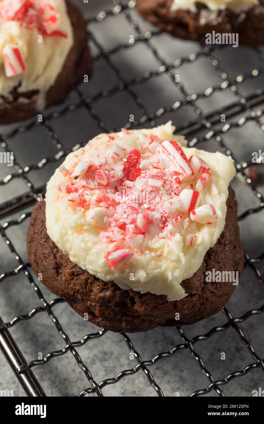 Homemade Peppermint Candycane Chocolate Cookies for Christmas Stock Photo