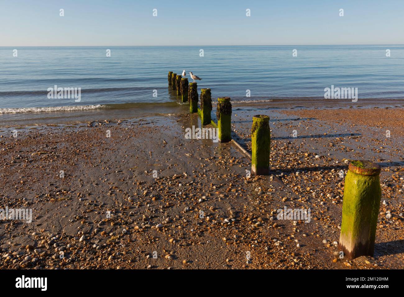 England, West Sussex, Bognor Regis, Bognor Regis Beach Stock Photo