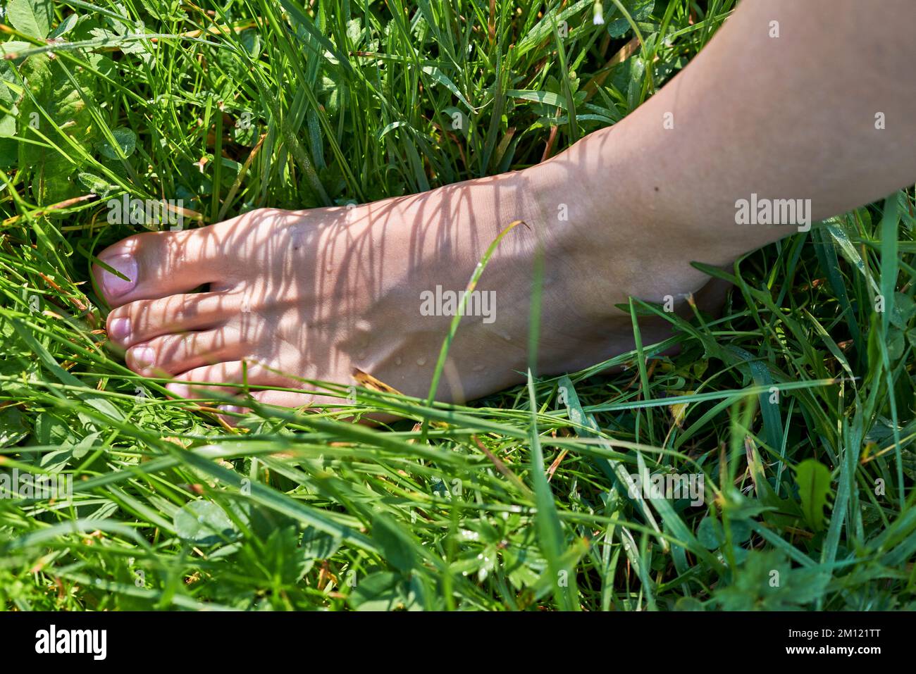 Barefoot running - close up of woman foot in grass while dew running Stock Photo