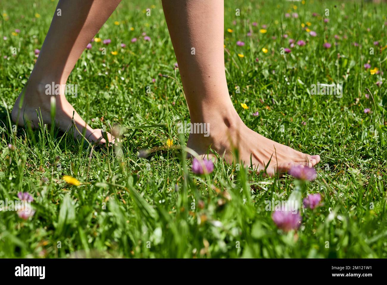 Barefoot walking - close up of women feet in grass walking on grass Stock Photo