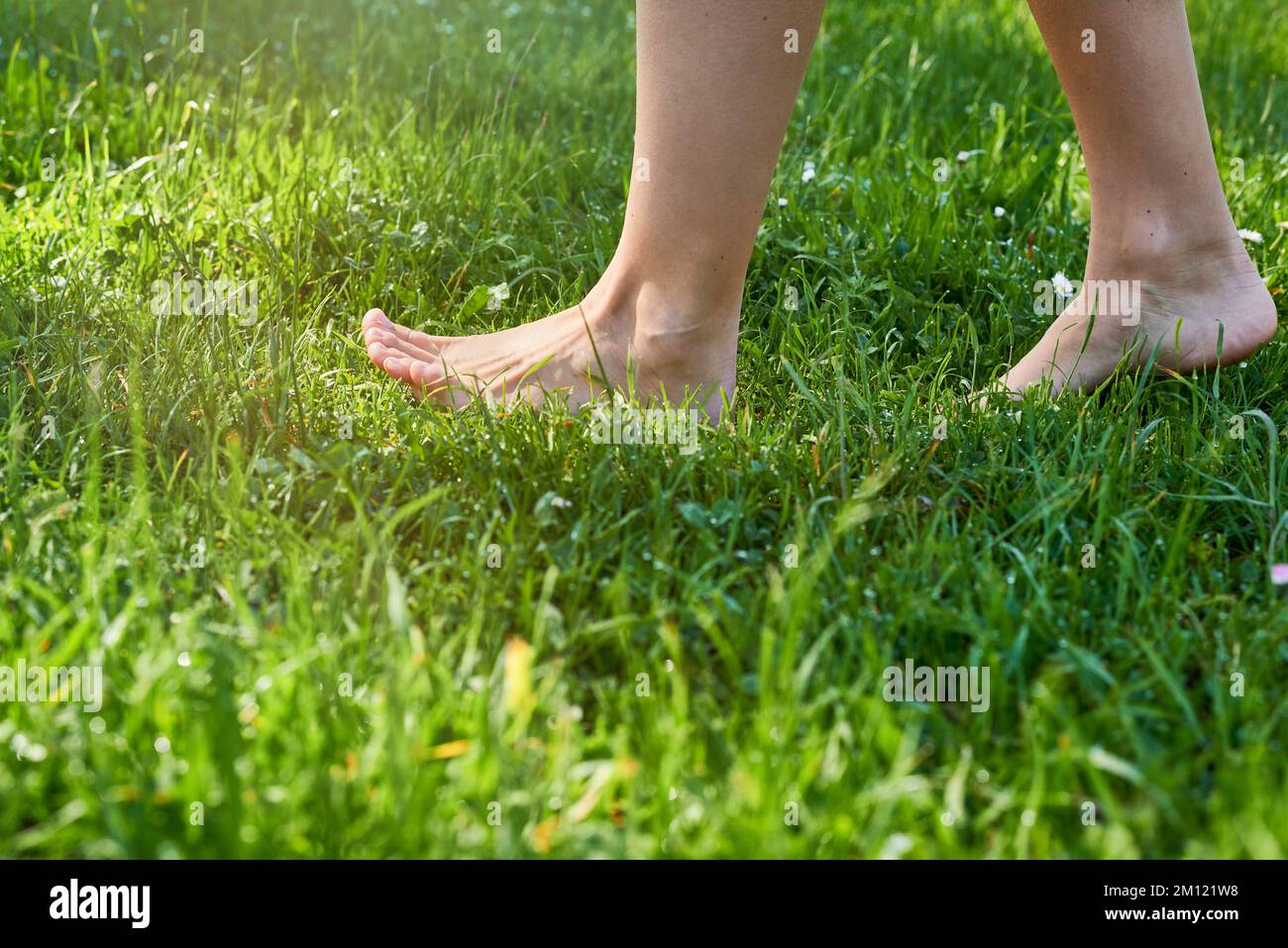Barefoot running - close up of women feet in grass while dew walking Stock Photo