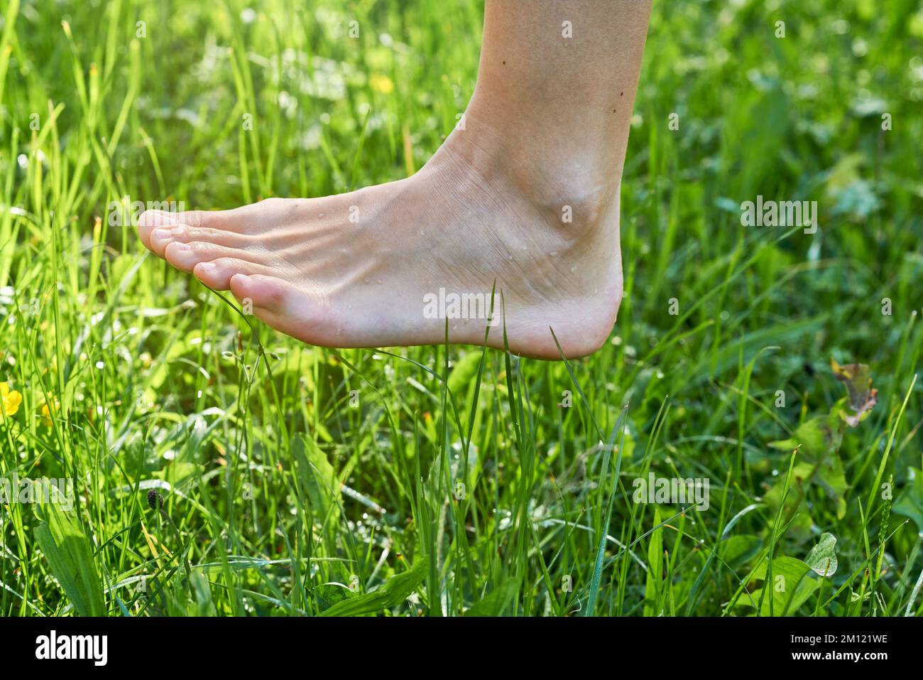 Barefoot running - close up of woman foot in grass while dew running Stock Photo