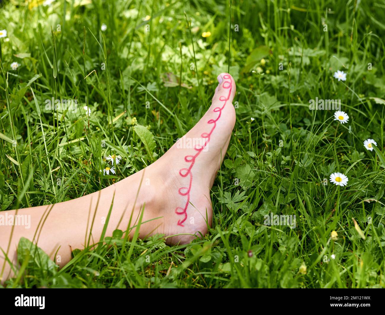 Barefoot walking - close-up of woman's foot with marked zone for reflexology on arch of foot Stock Photo