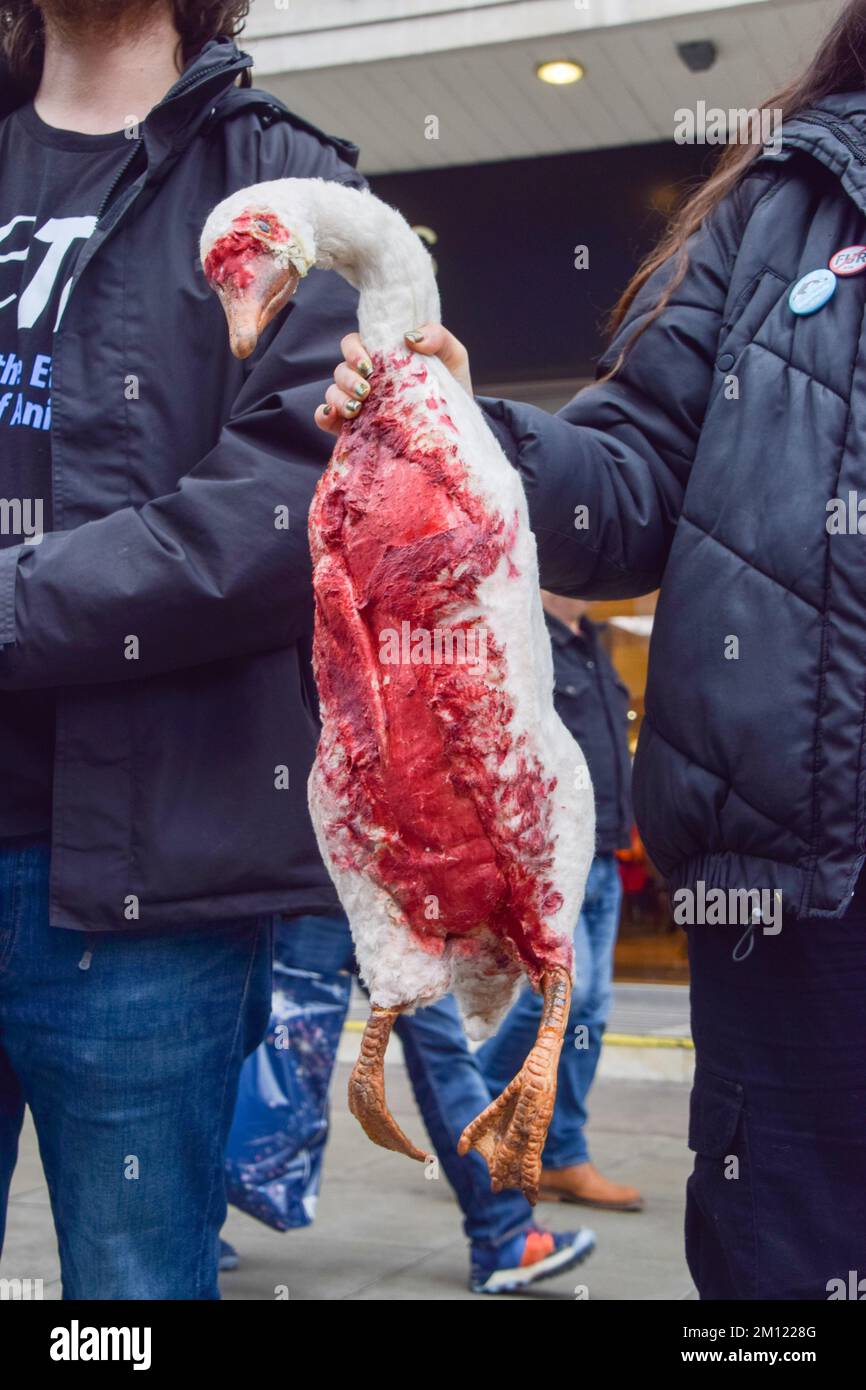 London, England, UK. 9th Dec, 2022. PETA activists held a model 'dead goose' and signs stating