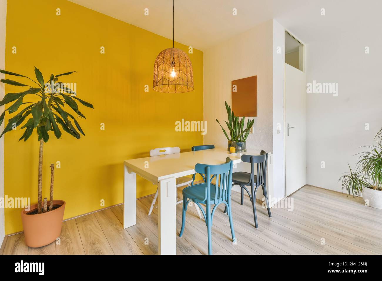 a dining room with yellow walls and wooden flooring, two blue chairs ...