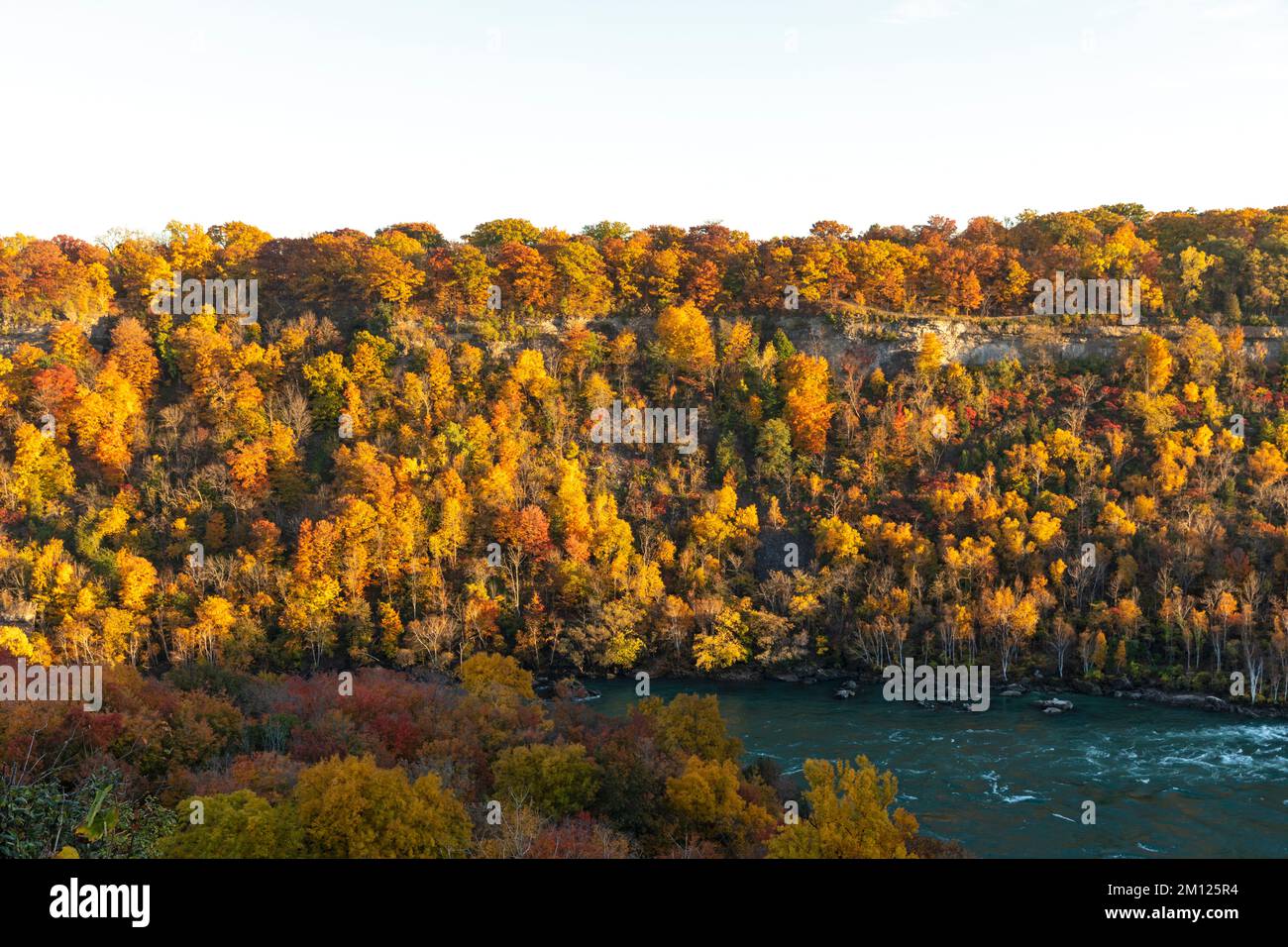 Canada, Ontario, Niagara Falls, The Niagara Gorge with the Niagara River in Autumn with full fall colors Stock Photo