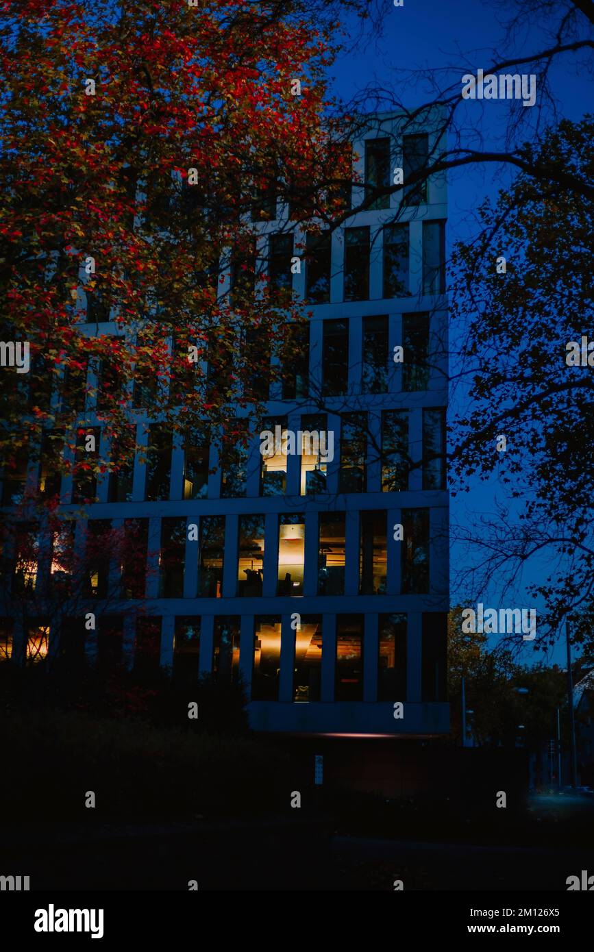 Illuminated windows in an office building in the city center of Bochum, Germany Stock Photo