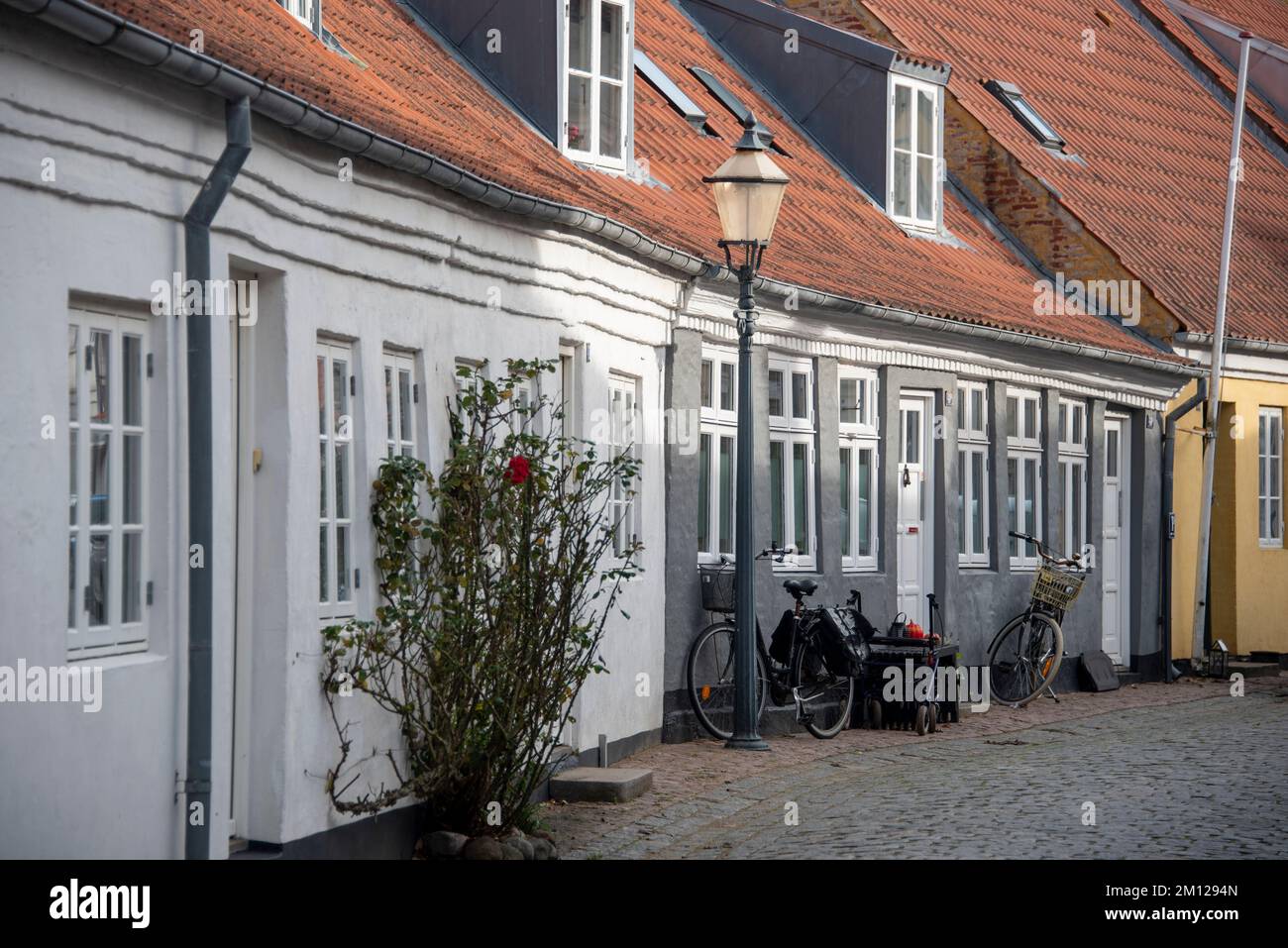 Historic alley in Ribbe, the oldest town in Denmark Stock Photo Alamy