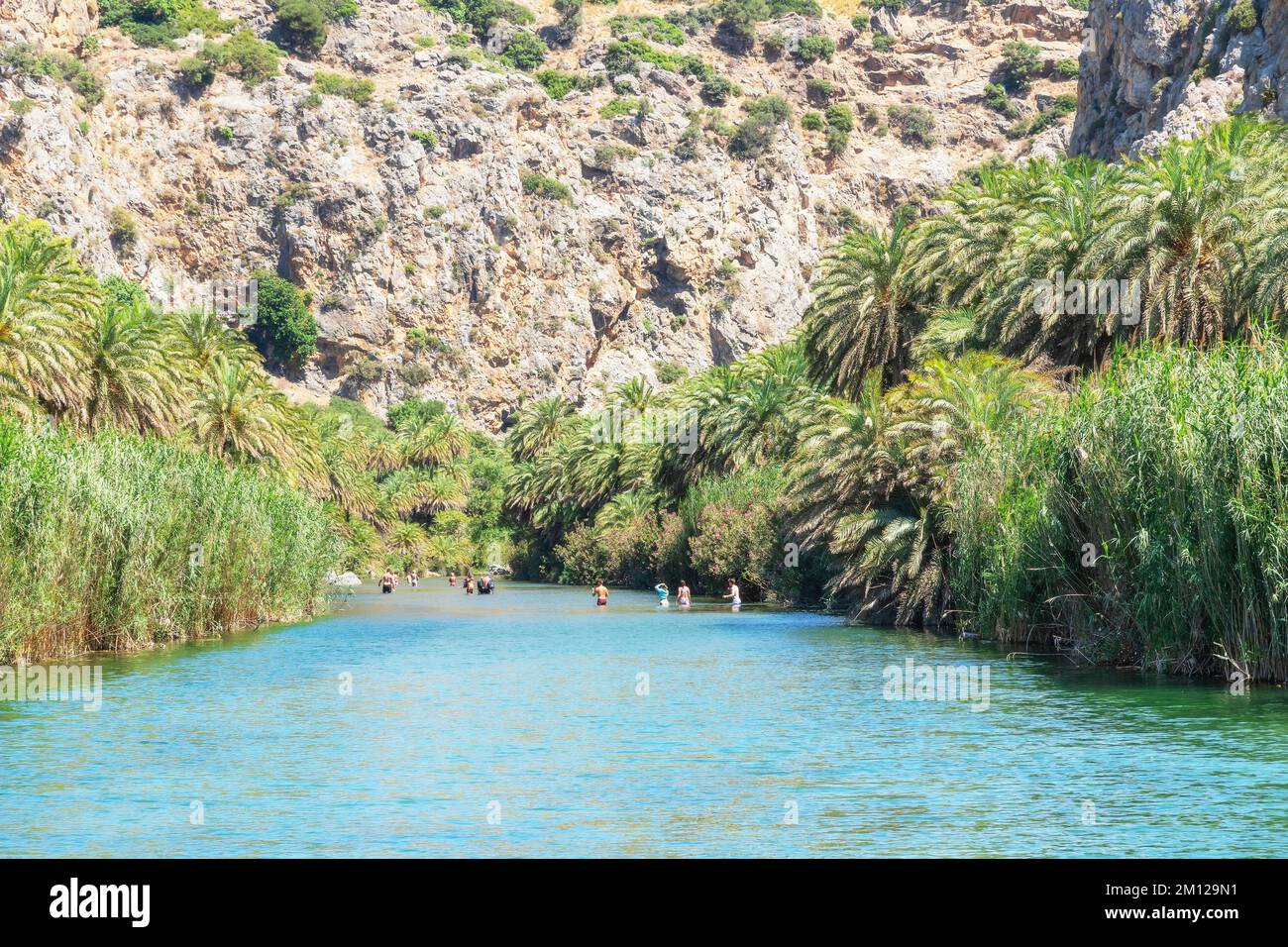 View of Megalopotamos river and Preveli palm forest, Rethymno, Crete, Greek Islands, Greece Stock Photo